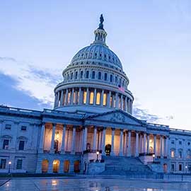 Federal & Municipal Governments